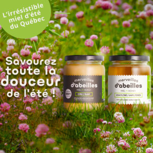 Savourez toute la douceur du miel d'été