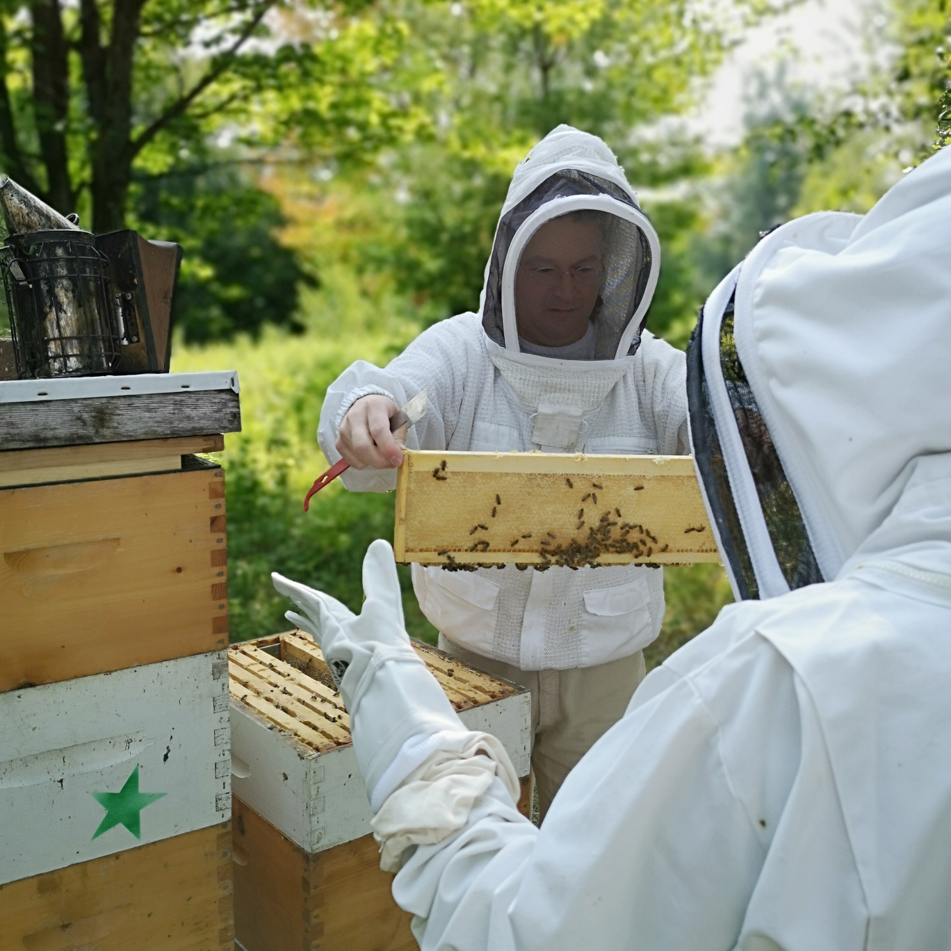 Nos produits - Merveilles d'abeilles